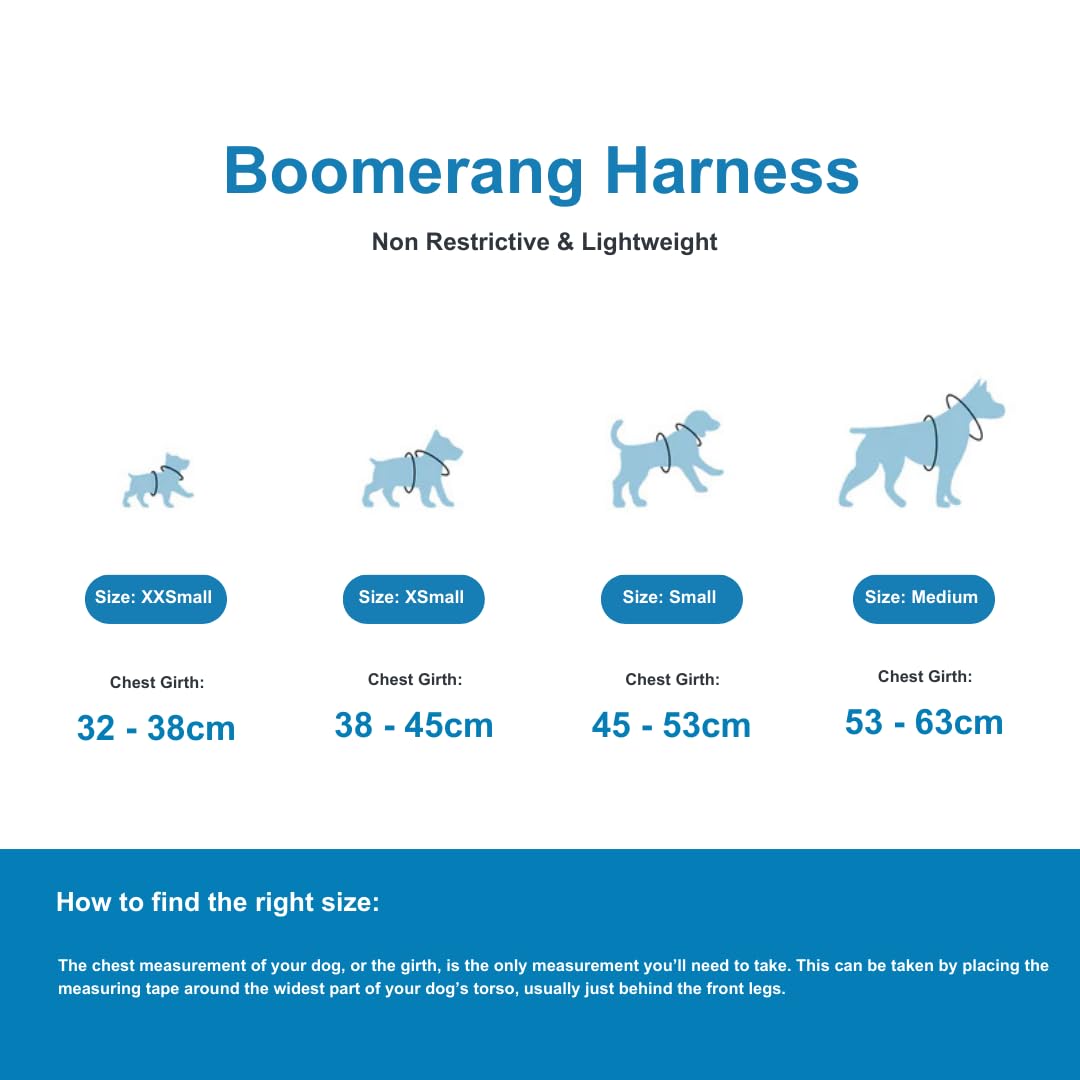 View 7