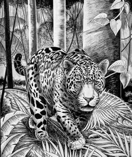 Livro Aventura na Amazônia.