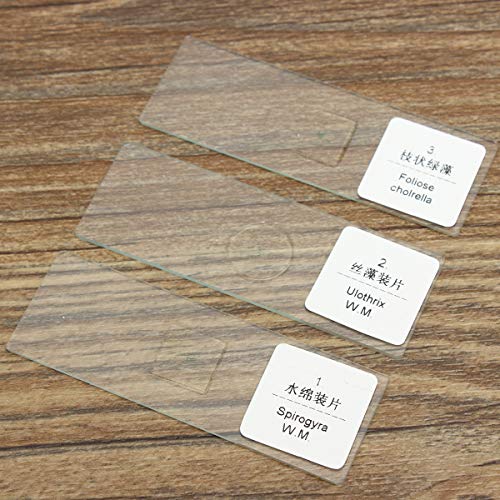 ZUINIUBI Microscope Slides-100pcs Glass Prepared Basic Plant Microscope Slides Sample Biology Pathology