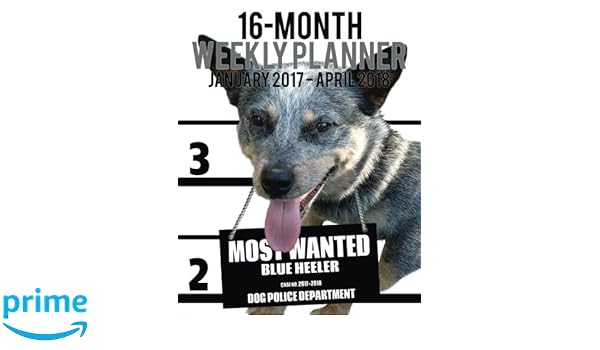 Most Wanted Blue Heeler 2017 2018 Weekly Planner 16 Month - 