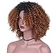 AisiBeauty Brown Kinky Curly Hair Wigs Heat Resistant Fiber Fluffy Wigs Short Ombre Synthetic Curly Wigs for Black Women African American Female