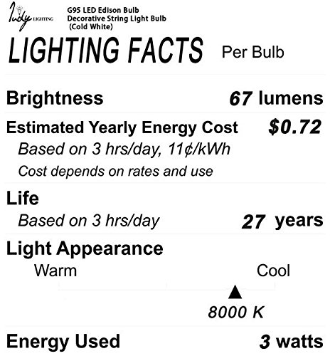 Judy Lighting - Vintage Globe LED Bulb Decorative String Light Edison Bulb (Cold White) Christmas lights, Halloween lighting, Holiday decoration