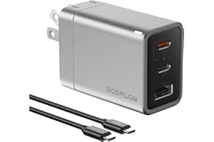 EF ECOFLOW USB C Charger, Rapid 65W GaN Type C Charging Block with Foldable Plug, Fast Wall Charger Compatible with iPhone 15/14/13, Galaxy, Pixel 4, iPad, AirPods, Apple Watch (USBC Cable Included)