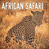 African Safari 2020 Calendar by
