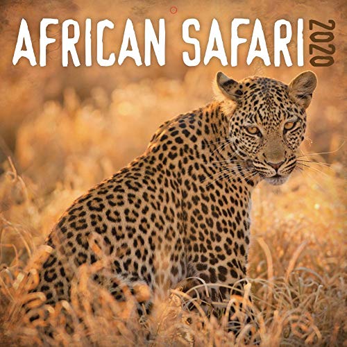 African Safari 2020 Calendar by Inc. Lang Companies
