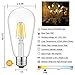 YFXRLIGHT Antique LED Bulbs Soft Warm White 2700K, 6W ST64 Dimmable Vintage Edison LED Bulbs,60W Equivalent, Squirrel Cage Filament Bulb, 550 Lumens, E26 Clear Glass, Pack of 6(2 Year Warranty)