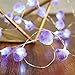 BOHON Decorative Lights Amethyst LED String Lights Battery Operated with Remote 10 ft 40 LEDs Natural Crystal String Lights for Bedroom Party Indoor Birthday Wedding Decor Valentine's Day Gift