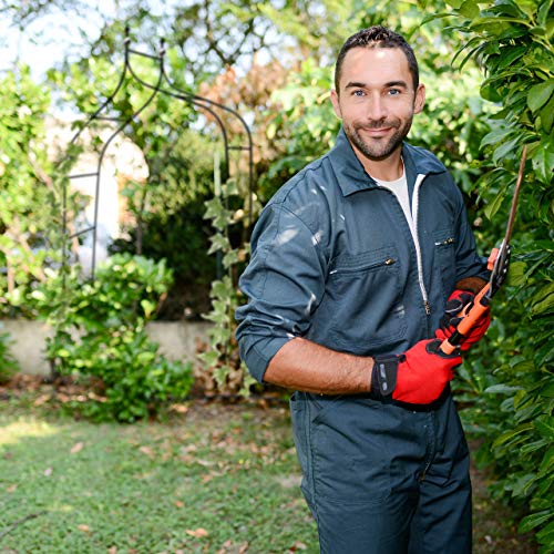 Relaxdays Rankbogen Metall geschwungen 240 cm, royaler Rosenbogen mit Spitze, Rankhilfe und Gartendeko f. Draußen, grün – Bild 6
