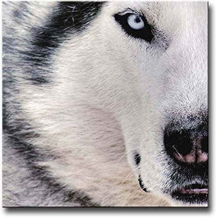 Noir Et Blanc Décoration Murale Tableau Chien Loup Blanc