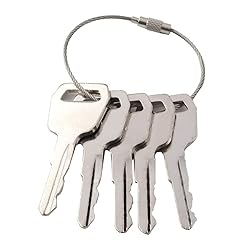 FSFY Ignition Starter Switch Key, 5PCS Ignition Key