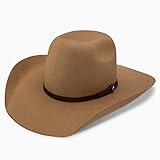 RESISTOL Men's Hooey Day Money 4X, Pecan, 7.5