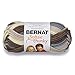 Bernat Softee Chunky Ombre Yarn, 2.8 oz, Nature's Way, 1 Ball