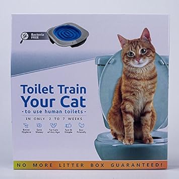Recuperation De Toilette Pour Chat Chaton D Entrainement Sans Litiere Non Toxique Amazon Fr Animalerie