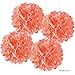 Andaz Press Large Tissue Paper Pom Poms Hanging Decorations, Coral, 14-inch, 4-Pack, Garden Bridal Shower Wedding Decorations Colored Birthday Party Supplies