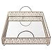Giovanni Champagne Mirror Top Serving Tray, Rectangular Metal Ornate Accent Vanity Food Decorative Display Platter