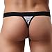 YiZYiF Men's Bulge Pouch Breathable Mesh G-Sting Micro Bikini Underwear (White, Large)