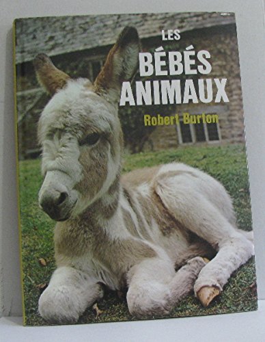 Les bébés animaux