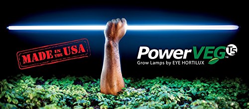 Eye Hortilux PowerVEG T5 2' HO 24W Fluorescent Tube