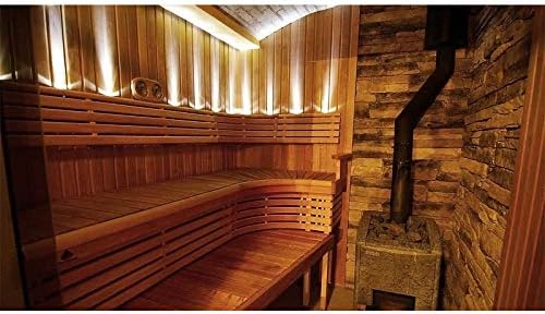 Sauna Led Beleuchtung W L Lens Sun Silver Amazon De Kuche Haushalt