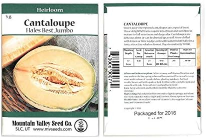 Cantaloupe Melon Garden Seeds - 5 g Packet -Hales Best Jumbo - Non-GMO, Heirloom