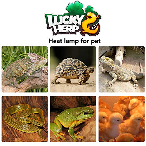 LUCKY HERP 2Pack 100W Reptile Heat Bulb, Basking Spot Heat Lamp for