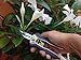 Ultra Snip 6.7 Inch Pruning Shear with Stainless Steel Blades