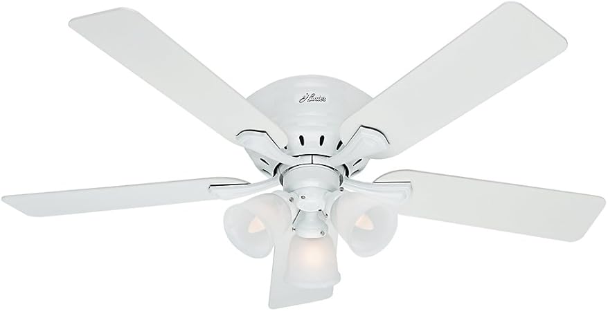 Amazon Com Hunter Indoor Low Profile Ceiling Fan With Pull Chain