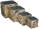 CYS Zinc Pot with Natural Birch Wood Wrap Zinc Cube Vases (Set of 4 pcs)