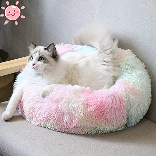 Cat Beds for Indoor Cats, 24'' Cat Bed Machine Washable Dog Bed for