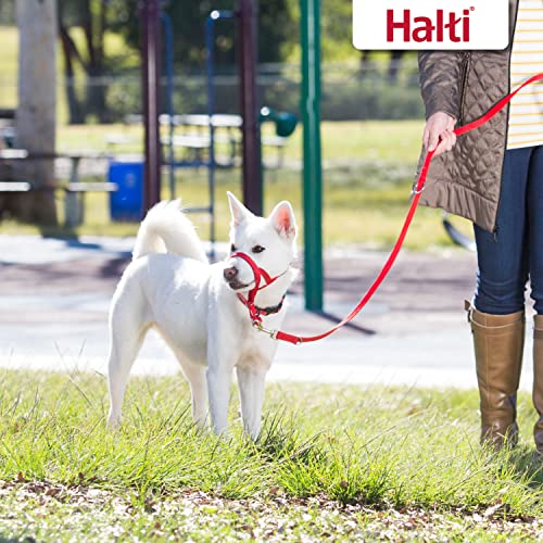 Halti Training Lead For Dogs, Double Ended Dog Training Leash for Halti