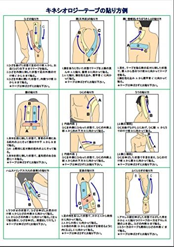 Amazon Trinox キネシオロジーテープ テーピング スポーツテープ 野球 腰痛 健康 スポーツ 肩こり解消 相撲 筋肉痛 5cm 5m 6巻 Trinox サポーター Amazon Trinox キネシオロジーテープ テーピング スポーツテープ 野球 腰痛 健康 スポーツ 肩こり解消 相撲 筋肉痛 5cm 5m 6巻 Trinox サポーター