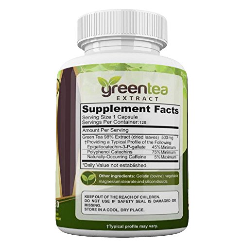 Green Tea Extract EGCG Polyphenols Supplement Stomach Fat Burner Energy