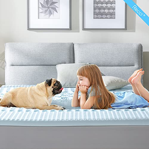 RECCI 2.5 Inch 5Zone Mattress Topper Twin, Gel Memory Foam Mattress