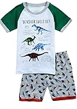 Babypajama Dinosaur Little Boys' Sleepwear Pajama Set T-Shirt & Pants Size 4 Years