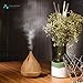 ASAKUKI Humidifiers for Bedroom Large Room, Cool Mist for Baby and Plants