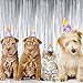 Sumind 4 Packs Photo Booth Backdrops Foil Curtains Metallic Tinsel Backdrop Curtains Door Fringe Curtains for Wedding Birthday Christmas Halloween Disco Party Favour Decorations (Matt Silver)