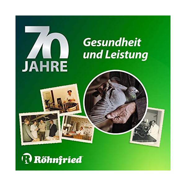 Röhnfried Darmwohl integratore Alimentare (250 ml) per roditori, pollame e Piccoli Animali, digestione favorita e…
