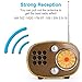 Radio Retro Bluetooth Speaker, Portable AM FM Shortwave Radio with Rechargeable Battery Support USB MP3 Player and TF Card (Gold)