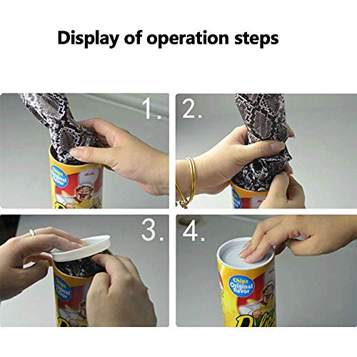 TJYONGHI The Potato Chip Snake Can Jump Spring Snake Toy Gift April