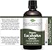 Plant Therapy Organic Eucalyptus Globulus Essential Oils 100% Pure, USDA Certified Organic, Undiluted, Natural Aromatherapy, Therapeutic Grade 100 mL (3.3 oz)