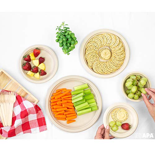 image for Ilyapa 50 Biodegradable Disposable Plates - 6 Inch Compostable & Micro