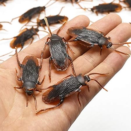 Amazon 5ピースハロウィンガジェットプラスチックゴキブリジョーク装飾小道具ゴム玩具ギャグ悪ふざけおもちゃプラスチックバグゴキブリ ジョーク どっきり おもちゃ