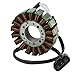 Motor Lichtmaschine Magneto Generator Engine Alternator Stator Coil Compatible with YAMAHA YZF 1000 R1 YZFR1 2002 2003