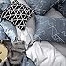VM VOUGEMARKET 3 Pieces Duvet Cover Set Queen,Geometric Blue Duvet Cover with 2 Pillowcases,Modern Stylish Bedding Set Home Collection for Adults Men Teens (Queen,Neil)