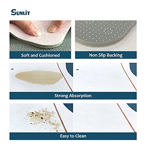 Sunlit 24" x 15" Innovative Soft Diatomaceous Earth Bath Mat