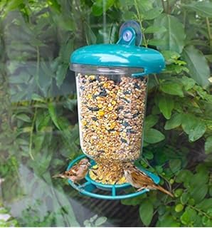 Shs Trading Clear Hanging Perspex Bird Feeder Amazon Co Uk