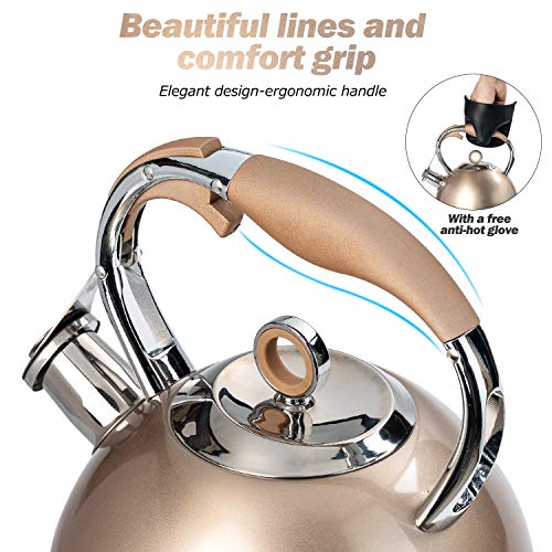 Tea Kettle Best 3 Quart induction Modern Stainless Steel Surgical