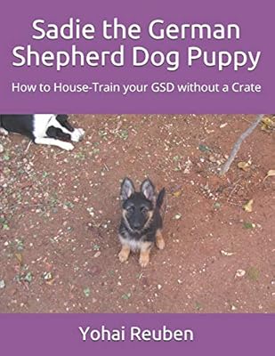 house training a puppy without a crate