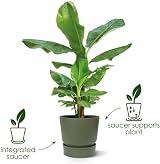 elho Greenville Round 16 Flower Pot with Integrated Water Reservoir view 2