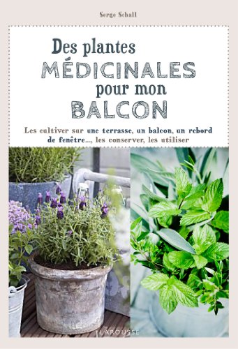 Des plantes médicinales pour mon balcon